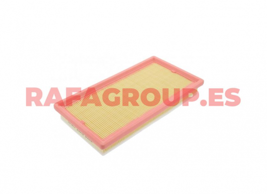 RG60007 - LUFTFILTER